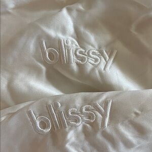 2 queen size Blissy silk pillowcases